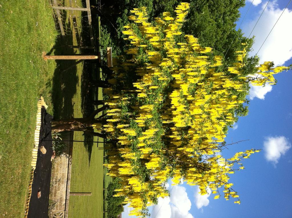 Stansted Inn Bishop's Stortford Bagian luar foto